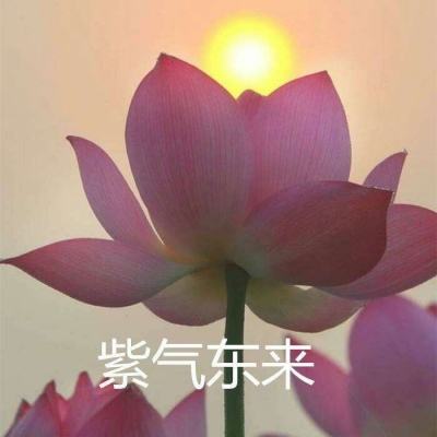 危险关系之谁出轨了手机版下载